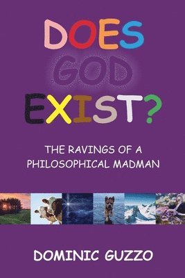 bokomslag Does God Exist? The Ravings of a Philosophical Madman