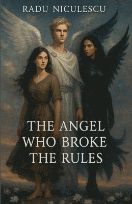 bokomslag The Angel Who Broke The Rules
