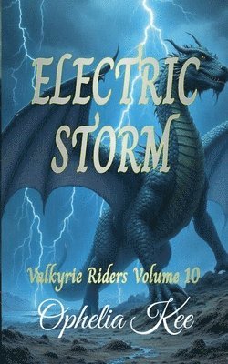 bokomslag Electric Storm