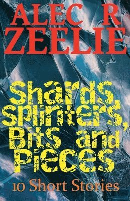 bokomslag Shards, Splinters, Bits and Pieces