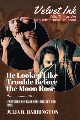 He Looked Like Trouble Before the Moon Rose 1