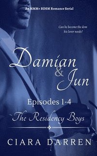 bokomslag Damian & Jun