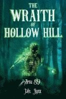 bokomslag Wraith of Hollow Hill
