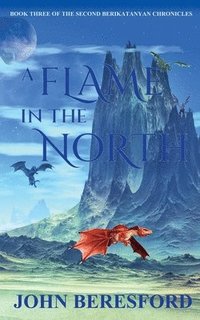 bokomslag Flame In The North