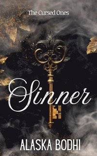 bokomslag Sinner