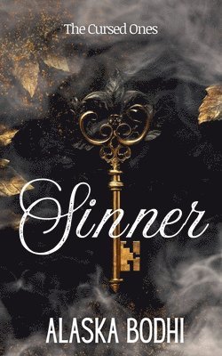 bokomslag Sinner