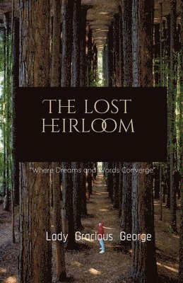 bokomslag Lost Heirloom