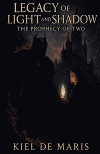 bokomslag Legacy of Light and Shadow