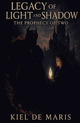 bokomslag Legacy of Light and Shadow