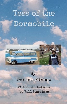 bokomslag Tess of the Dormobile