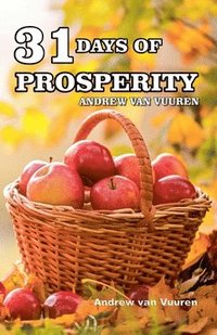 bokomslag 31 Days of Prosperity