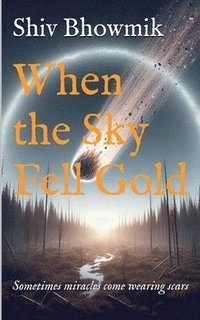bokomslag When the Sky Fell Gold