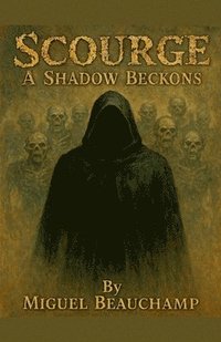 bokomslag Shadow Beckons