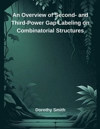bokomslag An Overview of Second- and Third-Power Gap Labeling on Combinatorial Structures