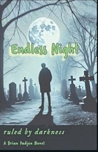 bokomslag Endless Night