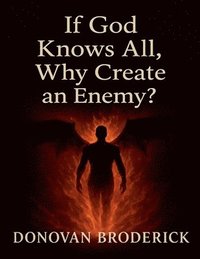 bokomslag If God Knows All, Why Create an Enemy?