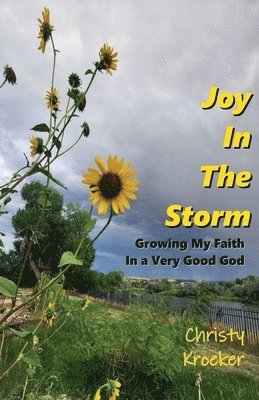 bokomslag Joy In The Storm: Growing My Faith in a Very Good God