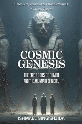 bokomslag Cosmic Genesis