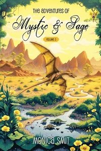 bokomslag Adventures Of Mystic & Sage Vol