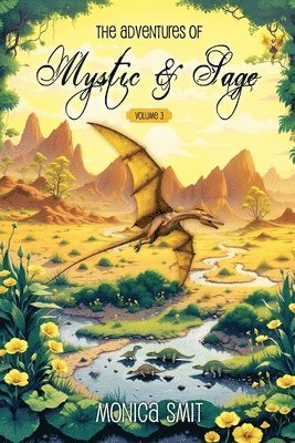 bokomslag Adventures Of Mystic & Sage Vol
