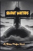 bokomslag Silent Waters