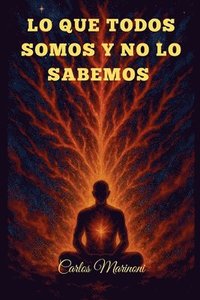 bokomslag Lo que todos somos y no lo sabemos