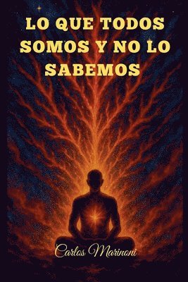 bokomslag Lo que todos somos y no lo sabemos