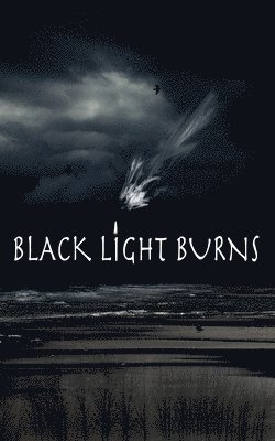 bokomslag Black Light Burns