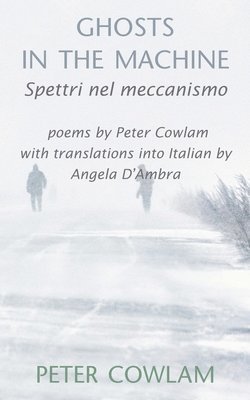 Peter Cowlam - Ghosts in the Machine, Häftad