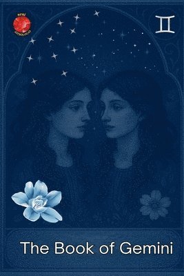 bokomslag Book of Gemini