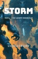 bokomslag Storm