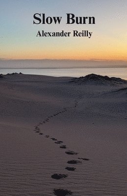 Alexander Reilly - Slow Burn, Häftad
