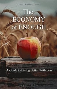 bokomslag Economy Of Enough