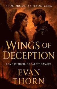 bokomslag Wings of Deception
