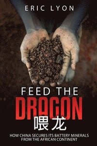 bokomslag Feed The Dragon