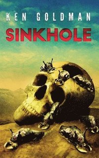 bokomslag Sinkhole