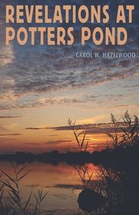 bokomslag Revelations at Potters POnd