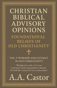 bokomslag Christian Biblical Advisory Opinions