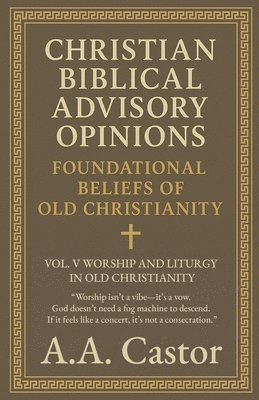 bokomslag Christian Biblical Advisory Opinions