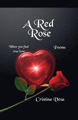 Red Rose 1