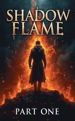 bokomslag Shadow Flame