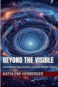 bokomslag Beyond the Visible