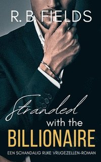 bokomslag Stranded with the Billionaire