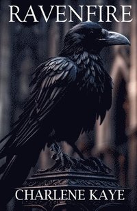 bokomslag Ravenfire
