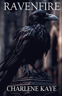 bokomslag Ravenfire