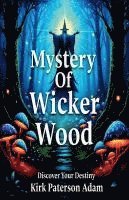 bokomslag Mystery Of Wicker Wood