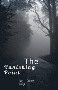 bokomslag The Vanishing Point