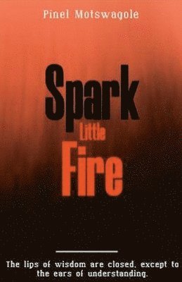 bokomslag Spark Little Fire