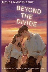 bokomslag Beyond the Divide