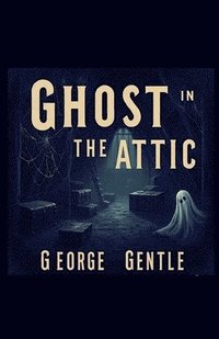 bokomslag Ghost in the Attic